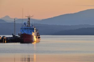 Coastguard Ship Saanich Inlet - Anne Fearon-Wood