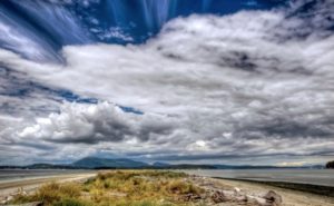Seaside Magazine - Anne Fearon-Wood