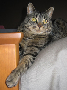 "Tiggy"