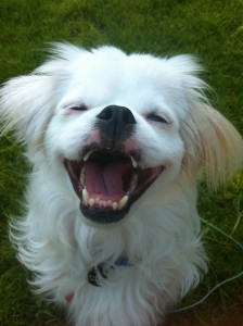 "Sparky" - Teagan Autherhoff