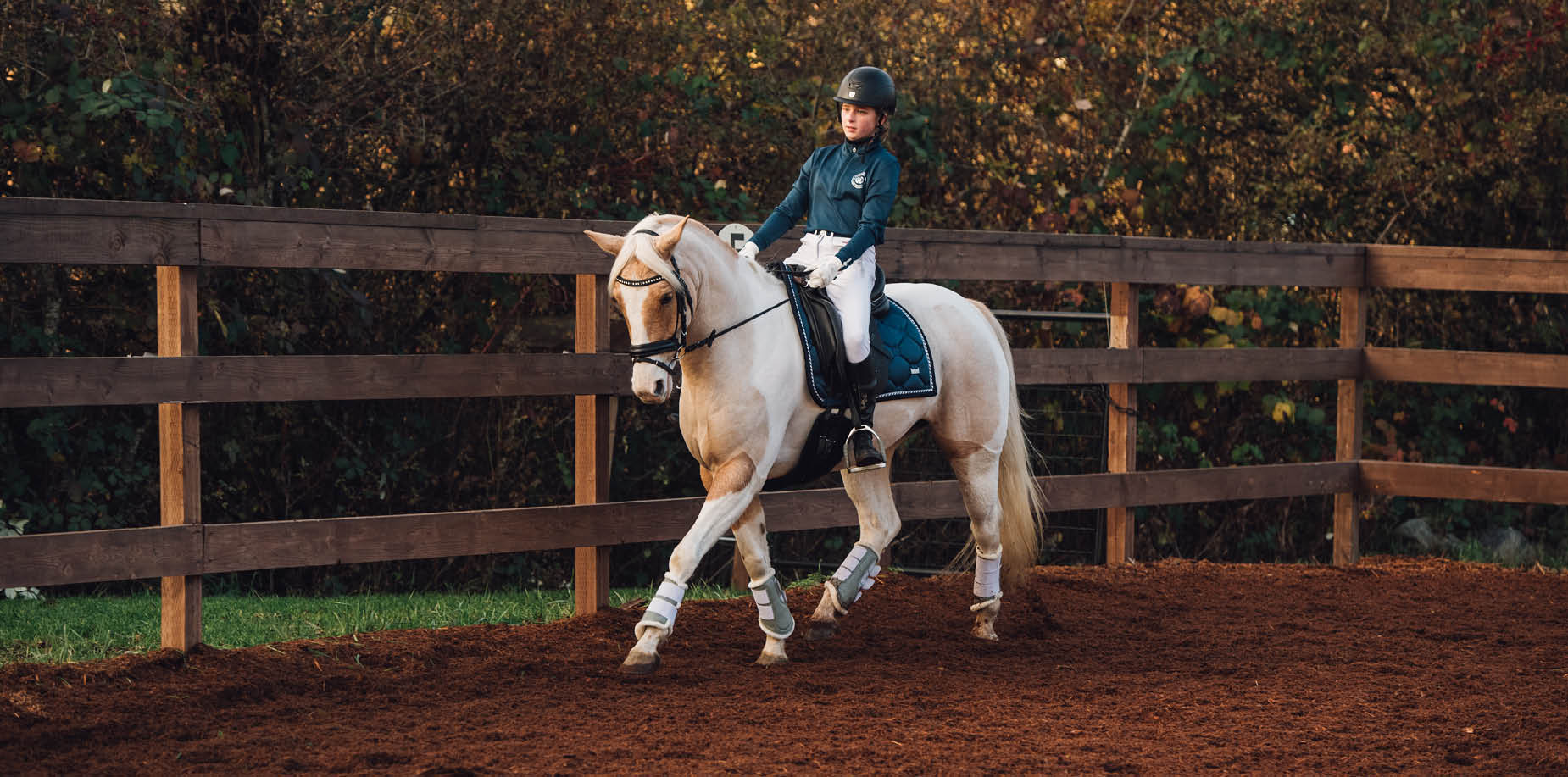 STABLE & FIELD Eastgate Dressage Seaside Magazine