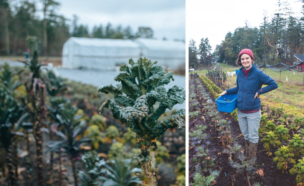 Living Off the Land – Rake & Radish Farm: Healthy Harvest in Hand