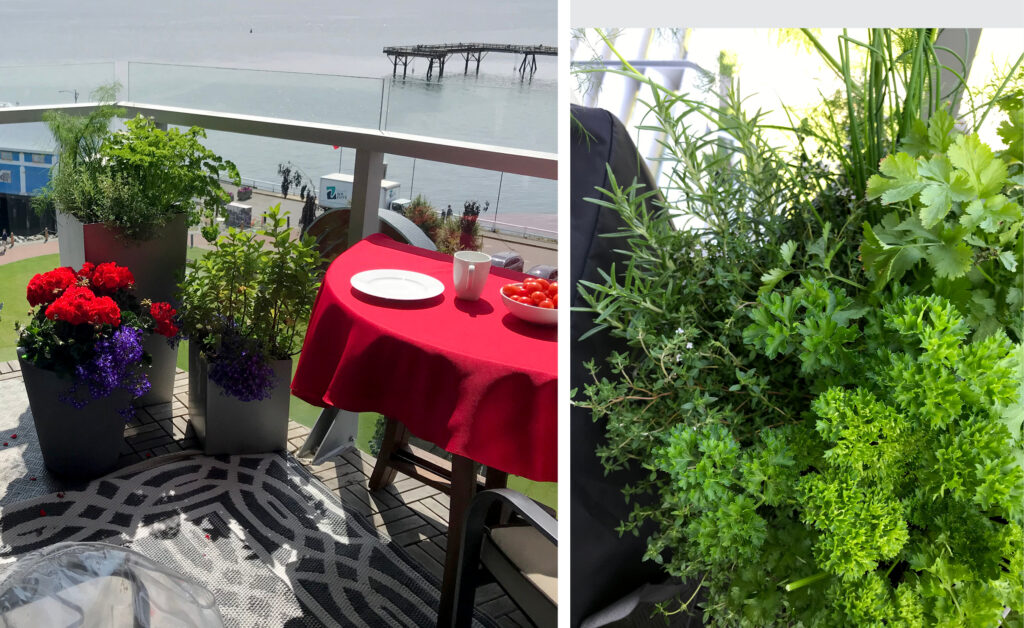 Balcony Bliss