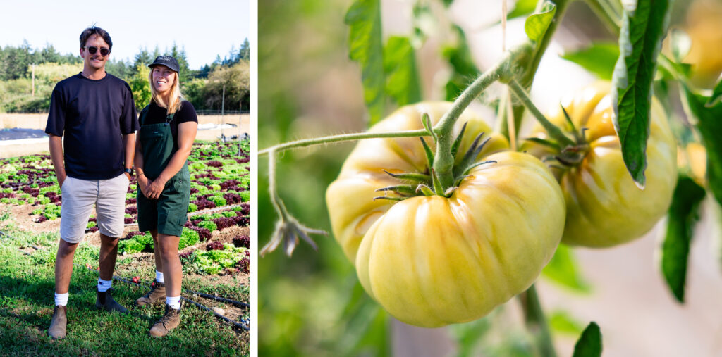 Off the Land – The Plot Market Garden: Plotting Towards Productivity