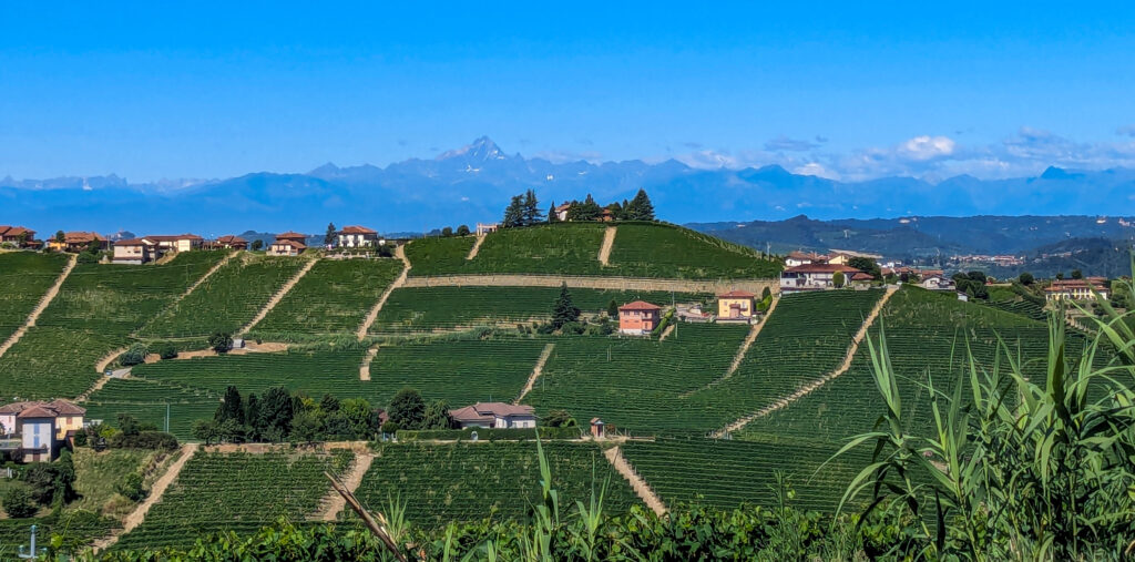 Off the Vine – Piemonte Uncorked