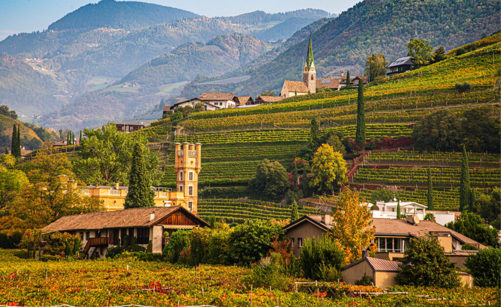 Off the Vine – Sparkling Reds