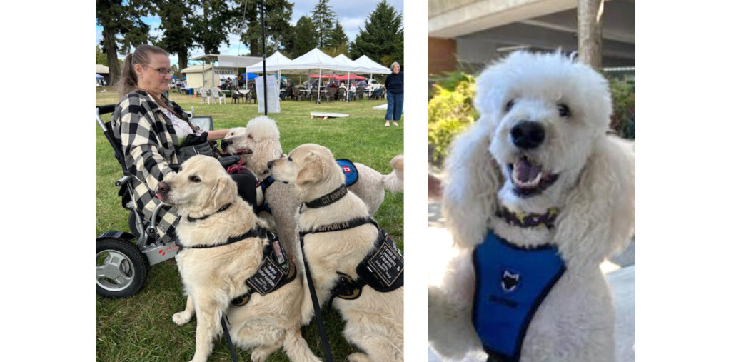 Charity Connections – VIK9 AHSS: Transforming Lives Through Standards, Service & Education