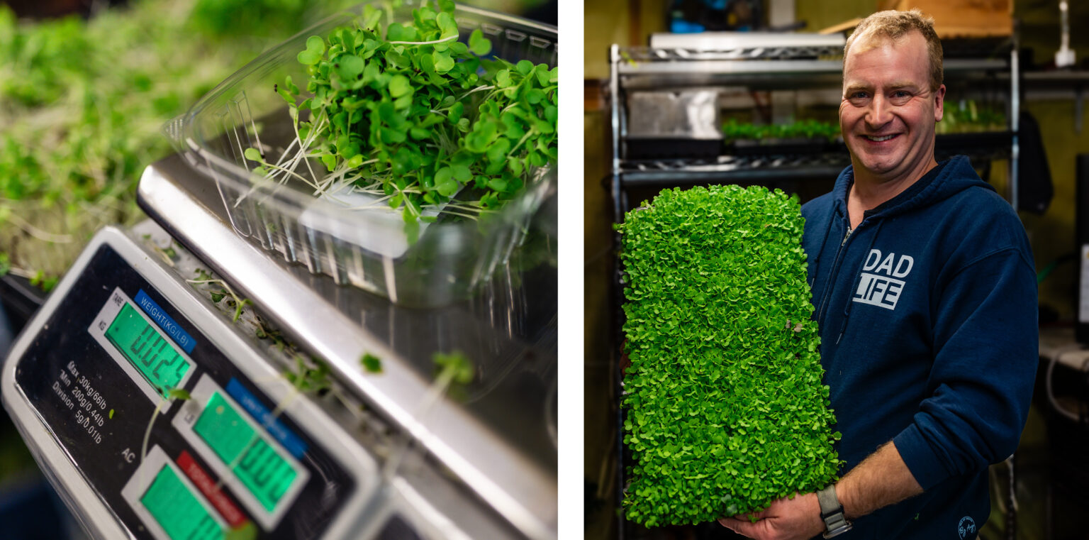 Off The Land Sidney Microgreens New Gains In Greening Up Photo Inspiration