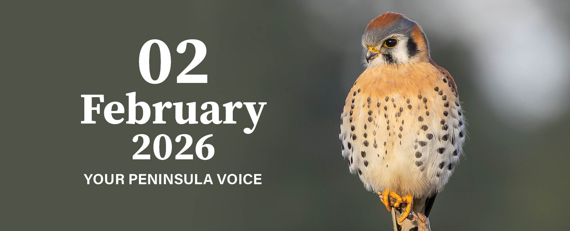 SeasideMagazineSlider0226