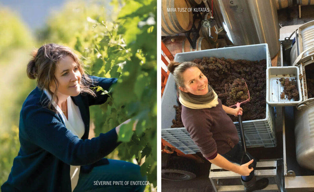 Off the Vine - The Freedom to Define Excellence