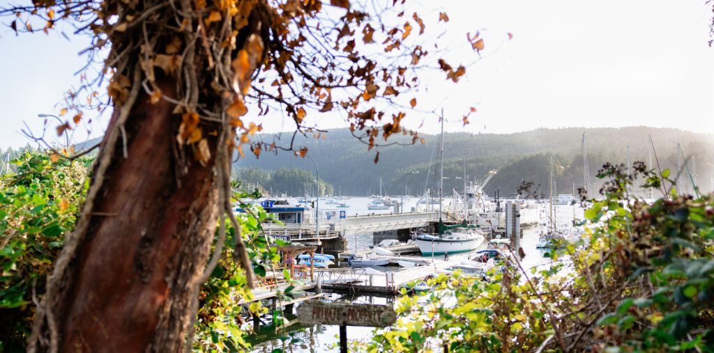Central Saanich at 75: Built by Service, Sustained by Community
