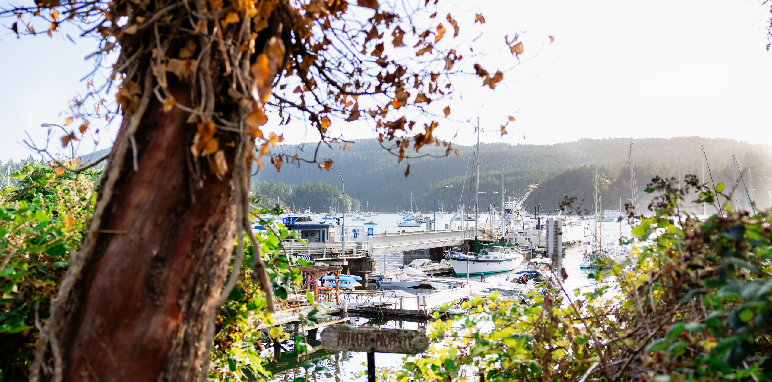 SaanichAnniversay0626