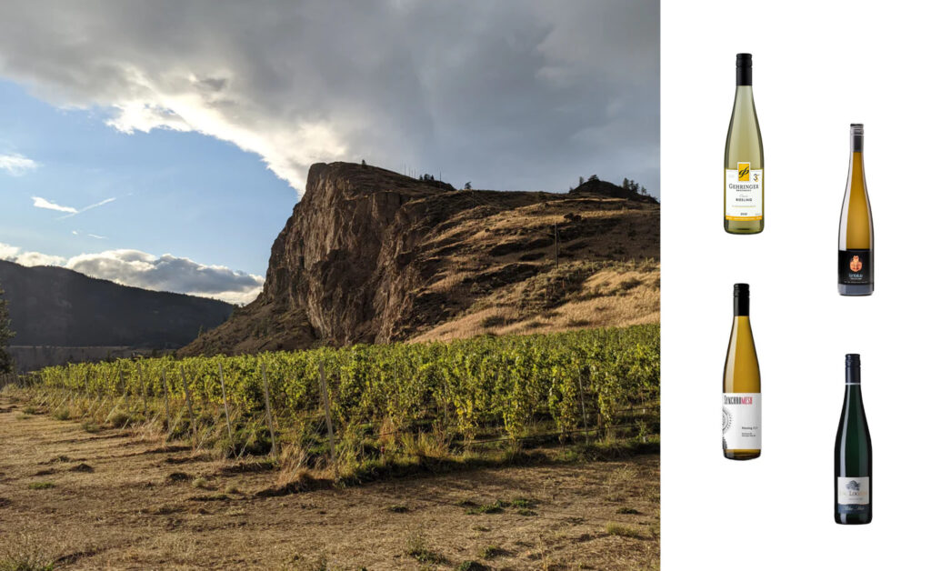 Off the Vine – The Search for Good Riesling