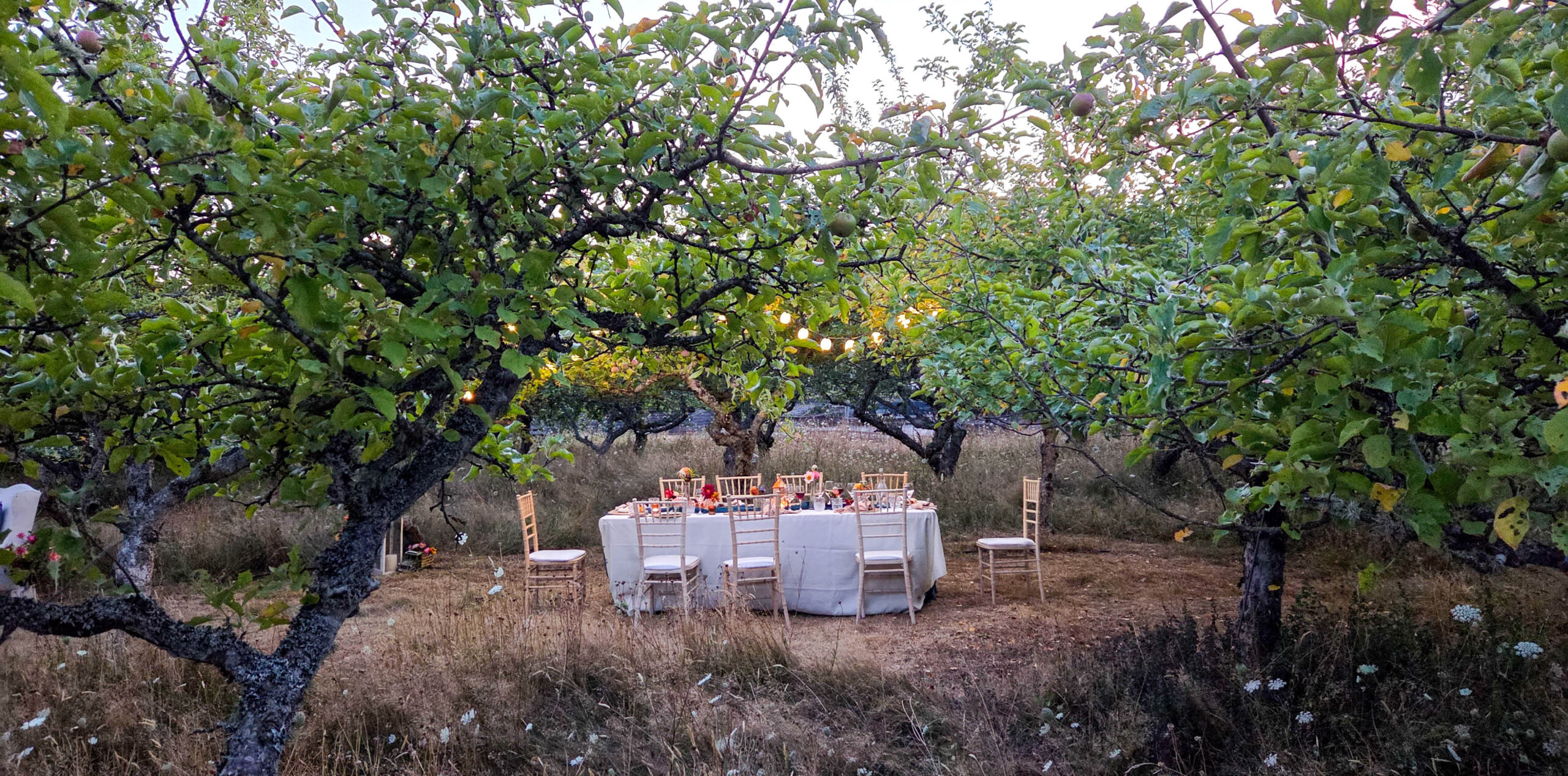 LongTableDinner09269