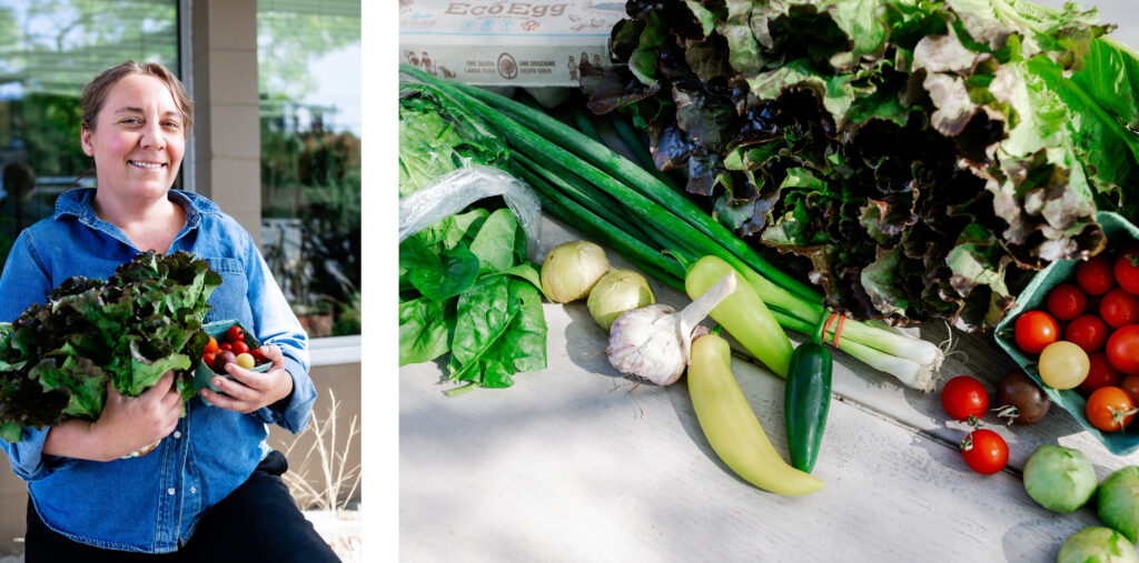 Off the Land – South Island FarmHub:  From Field to Farmer to the Front Door