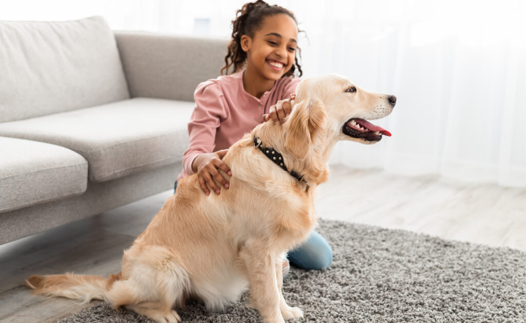 Pet Talk – Understanding Dog Behaviour and Bite Prevention
